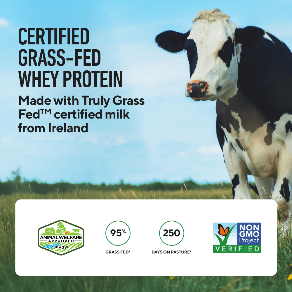 Whey+ Grass-Fed Whey Protein – Chocolate